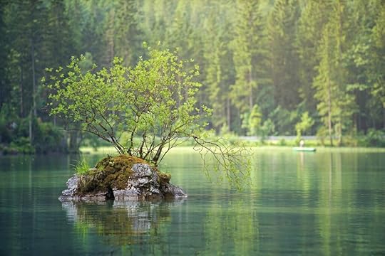Image by Joe from Pixabay