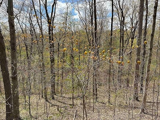 Tom and Jane Dustin Nature Preserve