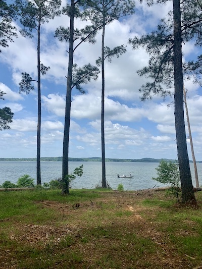 Lake O the Pines