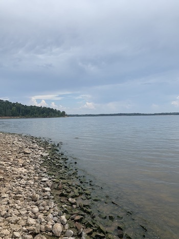 Lake O the Pines