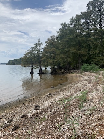 Lake O the Pines