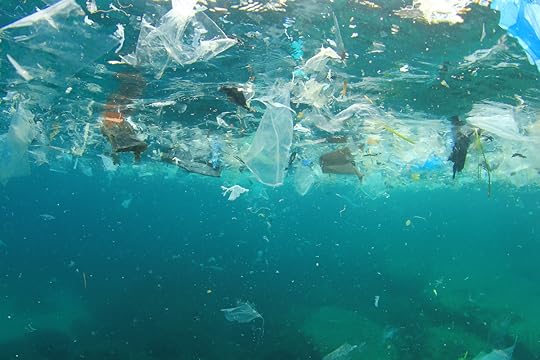 Plastic rubbish pollution in ocean environment