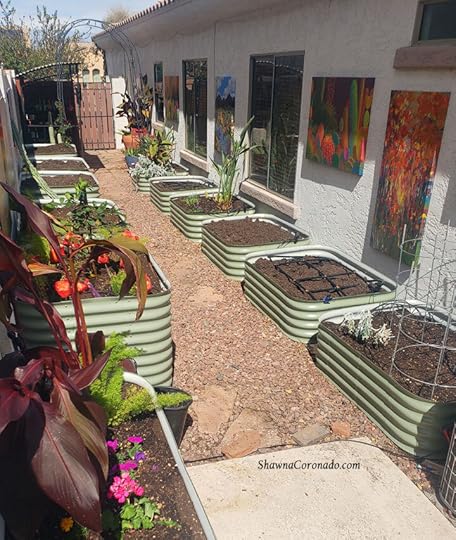 Rebuild-pre-planting-elevated-garden-bed