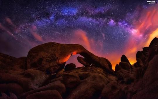 Joshua Tree National Park by William McClintok