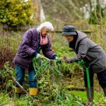 dementia care therapeutic care gardening