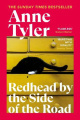 Redhead by the Side of the Road: From the bestselling author of French Braid