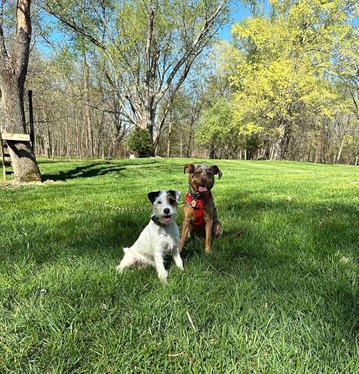 Sunny and Ruby - happy girls - do what your dog loves - canine enrichment