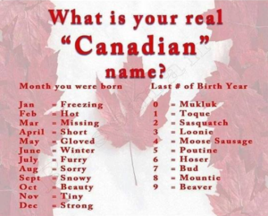 Canada Day Jokes & Books