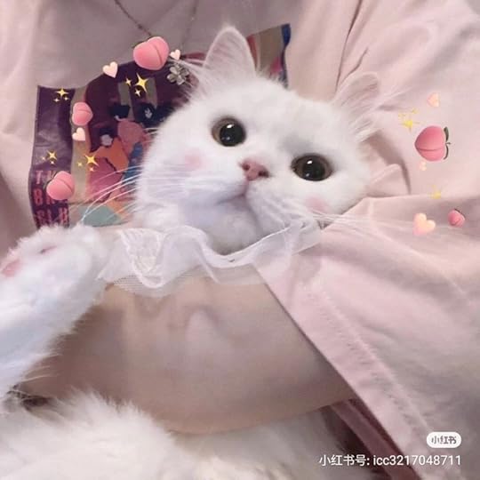 𝚖𝚘𝚘𝚗.𝚛𝚞𝚊𝚛𝚞𝚊 | Cute cats, Pretty cats, Kittens cutest