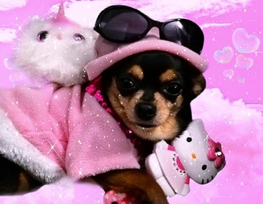 pink barbie chihuahua | aesthetic dog wallpaper | Chihuahua ...