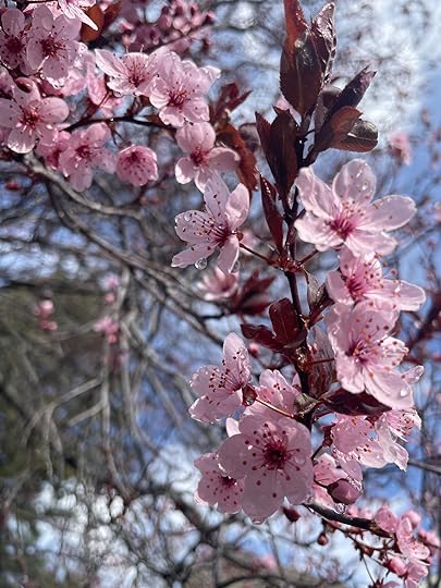 thesimplyluxuriouslife.com | The Simply Luxurious LIfe