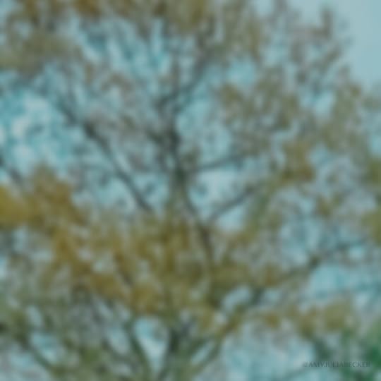 blurred photo of tree branches against blue sky