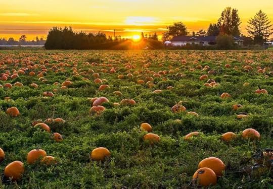 Photo of Field Full of Pumpkins by James Wheeler