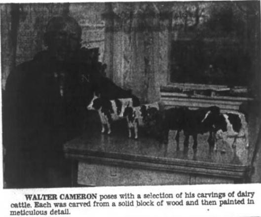 Walter with dairy cattle 1973