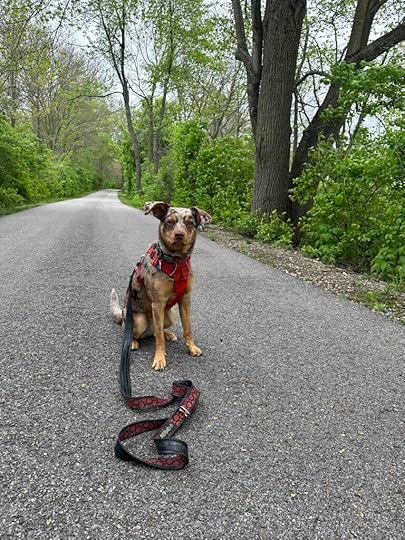Sunny on Reike Trail, Auburn, Indiana