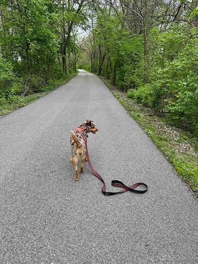 Sunny on Reike Trail, Auburn, IN