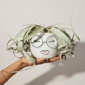bouqs succulent in a ceramic pot with a cute face painted on best place to buy houseplants 