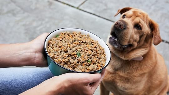 Dog Food