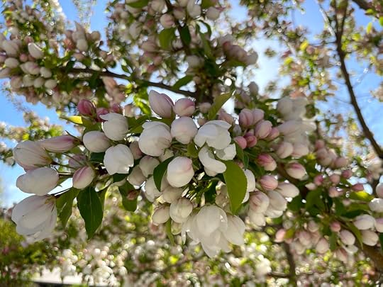 thesimplyluxuriouslife.com | The Simply Luxurious LIfe