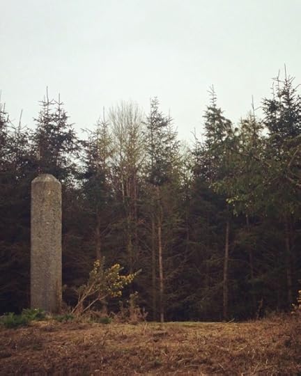 witch stone by trees