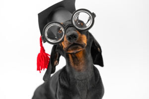 It's Time for Graduation Speeches