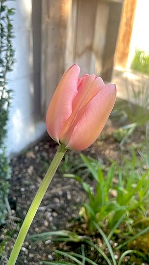 thesimplyluxuriouslife.com | The Simply Luxurious LIfe