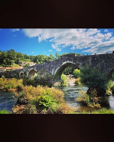 Old stone bridge arching across three stone pillars embedded in a deep river, yellow and green plants growing from everything