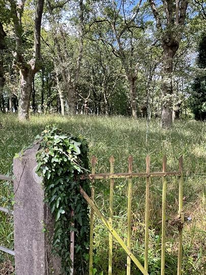 Ivy crawls up one side of an old metal gate; beyond, a meadow of grass and deciduous trees