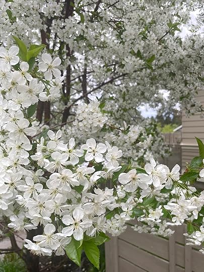 thesimplyluxuriouslife.com | The Simply Luxurious Life