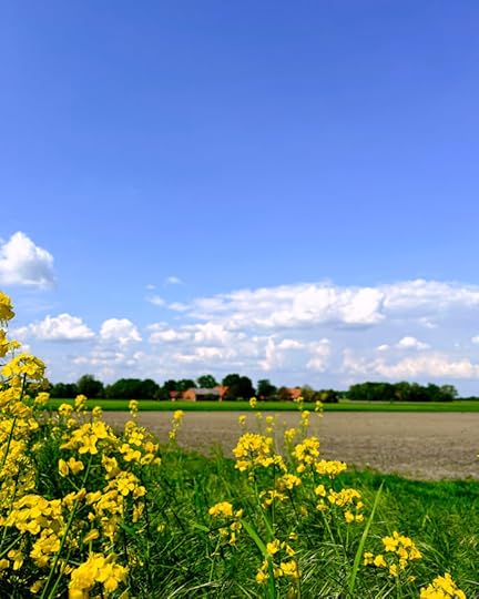 Blick über einen noch kahlen Acker, im Vordergrund einige Rapsblüten, im Hintergrund ziegelrote Bauernhäuser