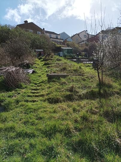 View of Hen's Tooth allotment from the bottom of the slope