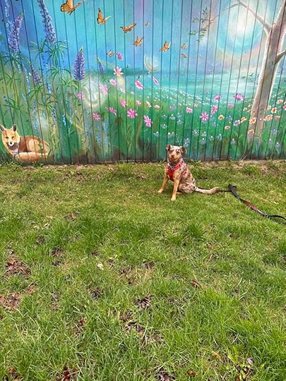 Sunny at Greenhurst Commons