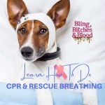 rescue breathing