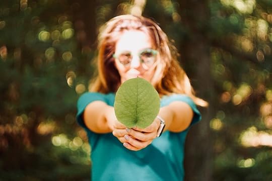 sustainable products are influences by the halo effect