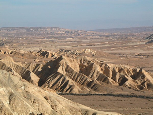 Sinai-wilderness