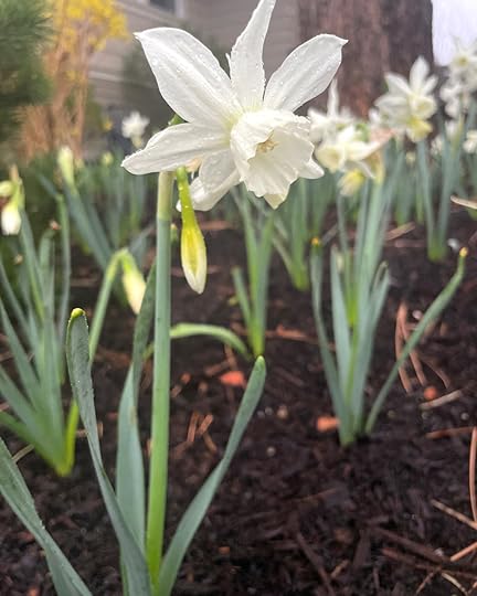 thesimplyluxuriouslife.com | The Simply Luxurious Life