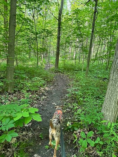 Heinzerling Family Five Points nature Preserve