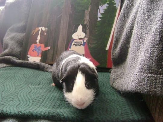 Rachel E Smith guinea pig painting and guinea pig Thorfy