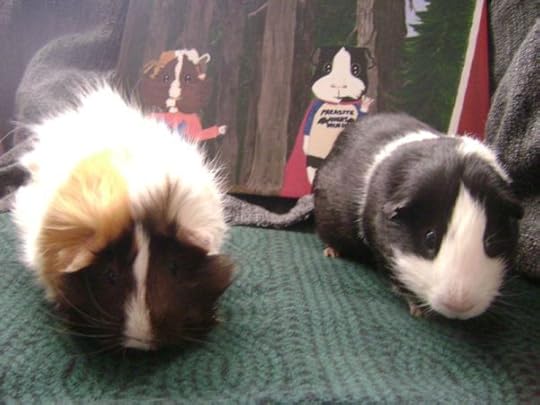 Rachel E Smith guinea pigs Snuffy and Thorfy and guinea pig painting
