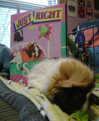 Rachel E Smith guinea pig Snuffy with guinea pig painting
