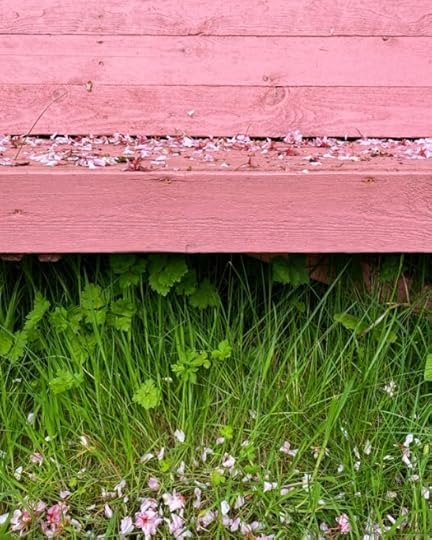 pink bench in a time travel post