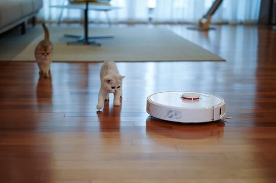 pets and roombas are targets for anthroporphism