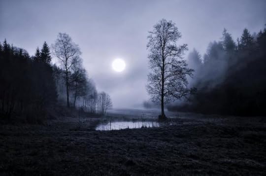 Moon Illuminating a Field Between a Forest at Night by Perry Wunderlich