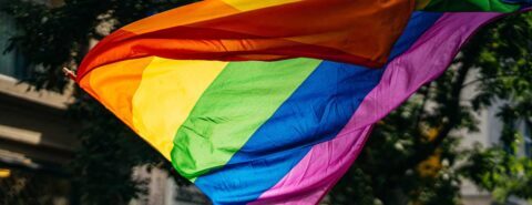 The asexual awakening: 
