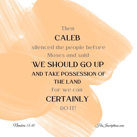 Picture: Caleb silenced the people