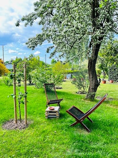Zwei Holzstühle im Schrebergarten