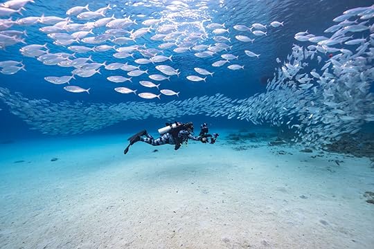 island of curacao diving