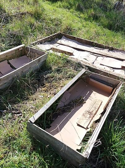 laying cardboard inside raised beds ready to layer up a no dig bed