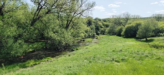 IMG_20230525_155530 (1)