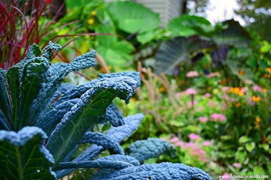 Tropical jungle garden dinosaur kale